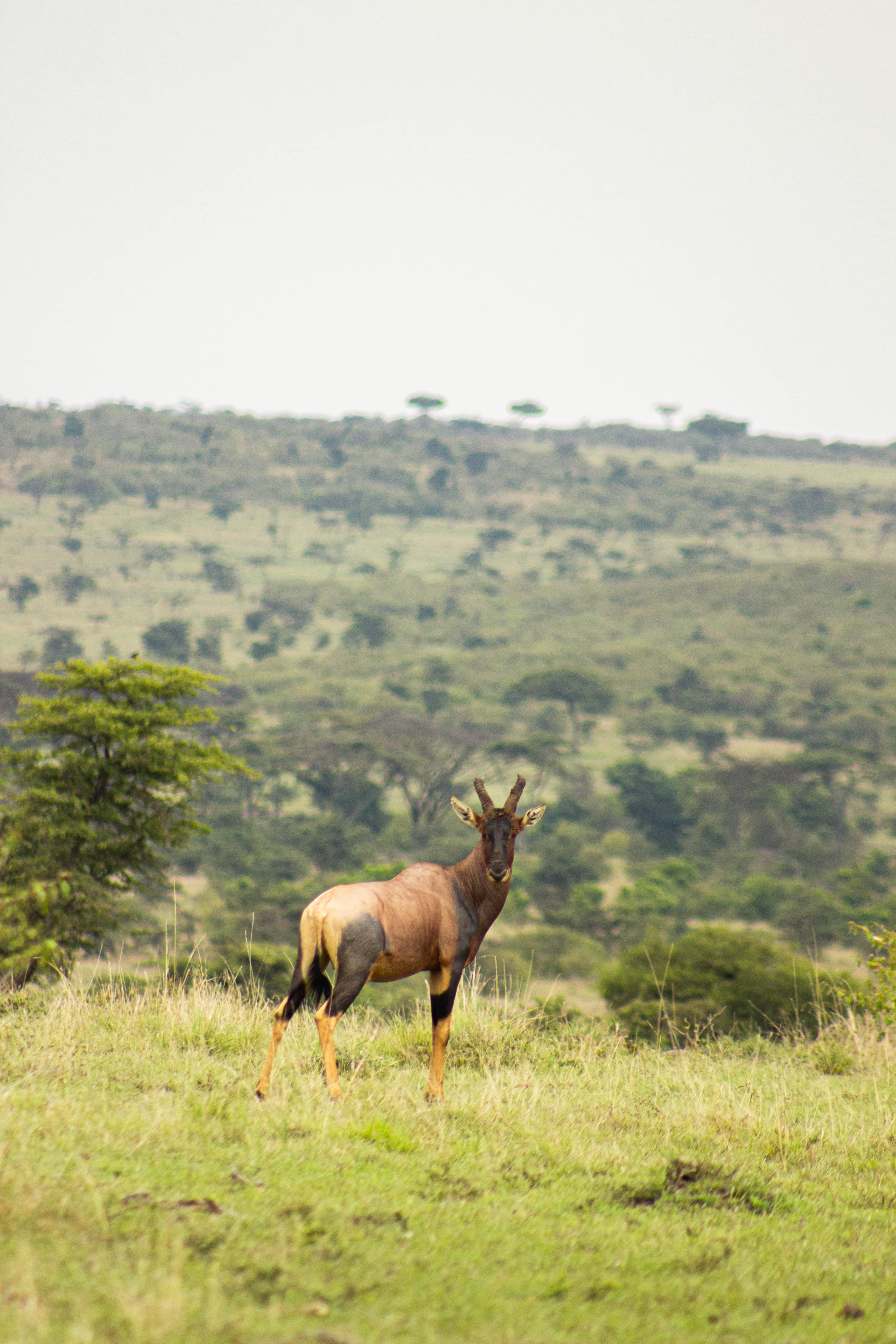 Kenya